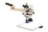 Microscope stéréo de discussion Zoom Ryeco DSK-800