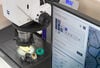 Vernetzte Mikroskopie ZEISS ZEN core . Entscheidungen beschleunigen: Von Bildanalyse zu Produktivität Datenverarbeitung ohne Schranken