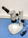 Microscope stéréo zoom Nikon SMZ745